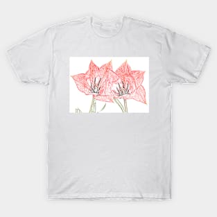 Tulipa linifolia  Flax-leaved tulip  Miscellaneous tulip Artistic filter applied to photo T-Shirt